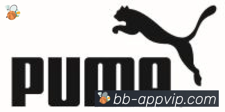 贝博BB体育合作伙伴